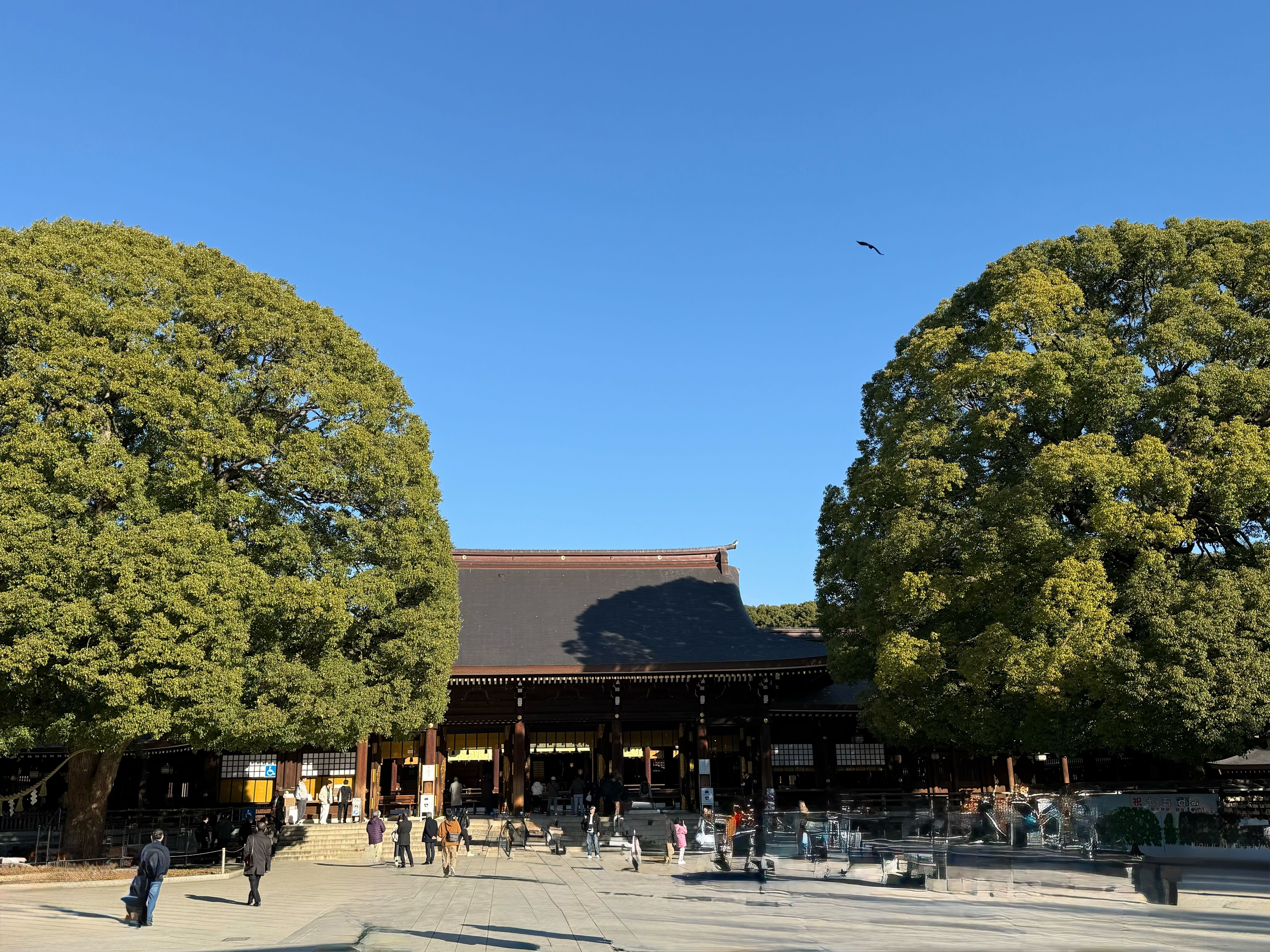 明治神宮の写真