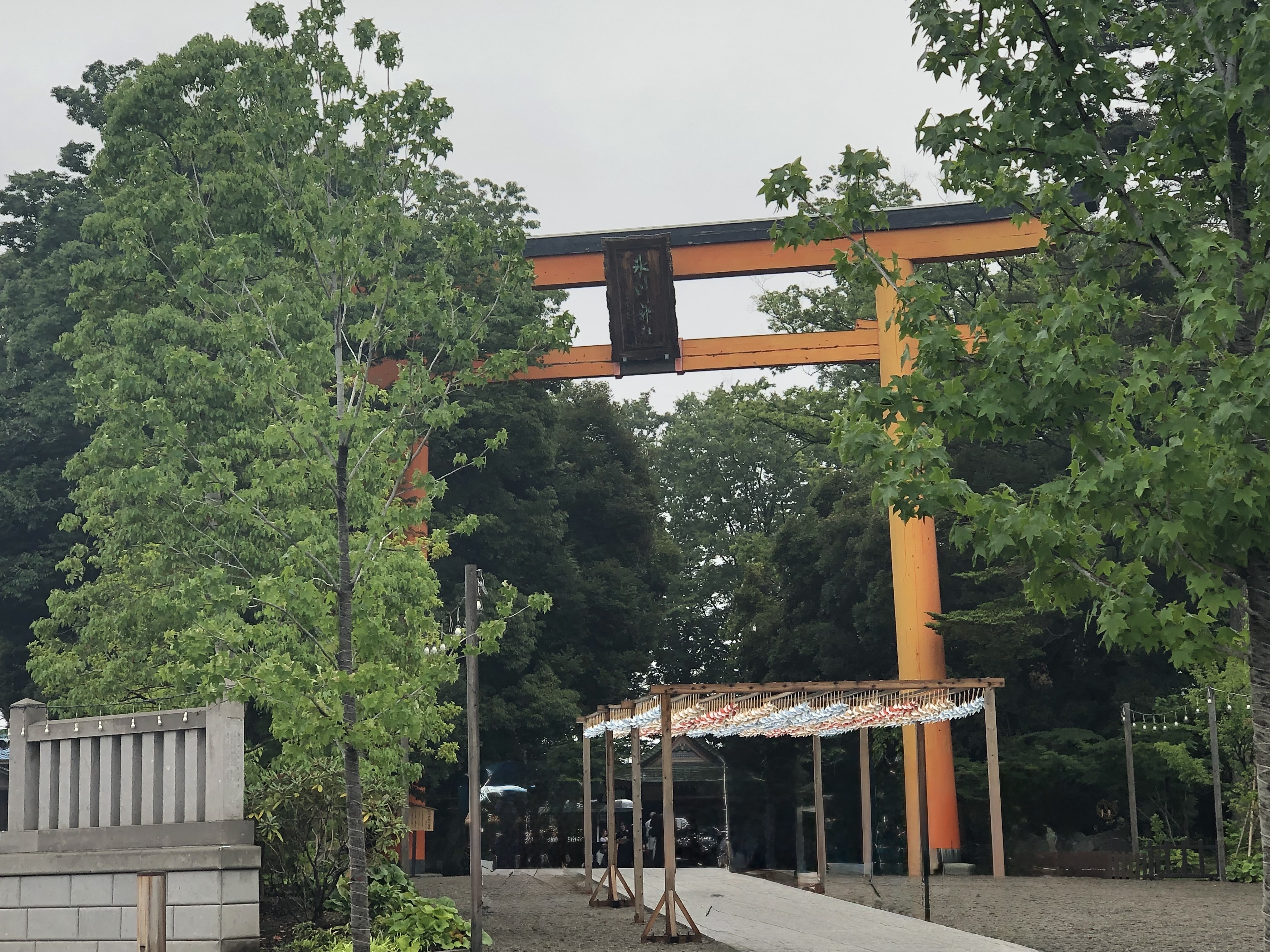 氷川神社の写真